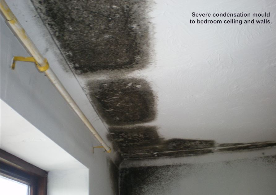 Condensation & Mould Control